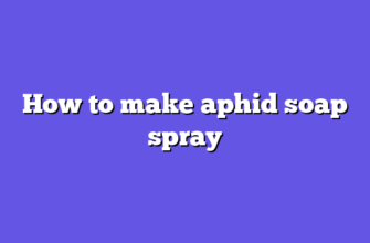 How to make aphid soap spray