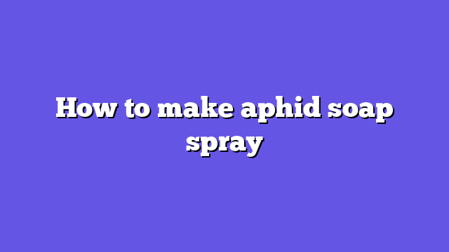 How to make aphid soap spray